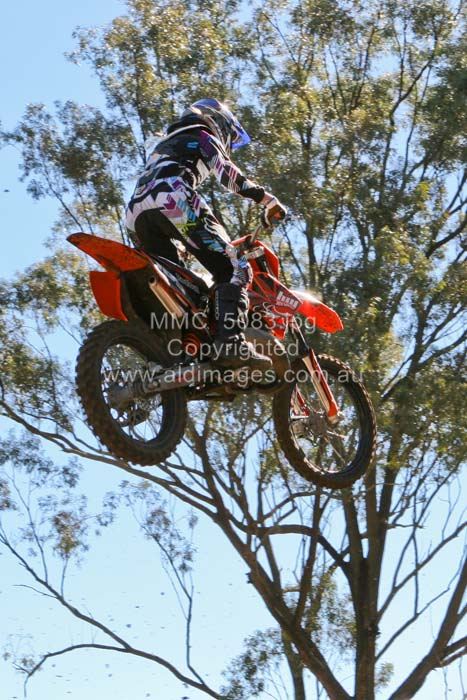 445x677 pixels (93K)